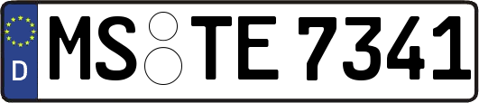 MS-TE7341