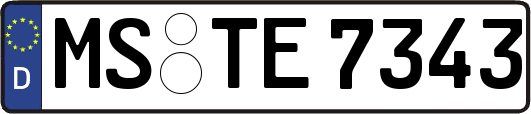 MS-TE7343