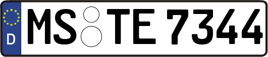 MS-TE7344