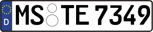 MS-TE7349