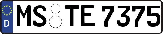 MS-TE7375