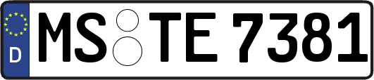 MS-TE7381