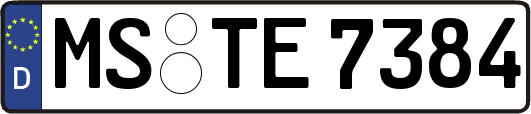 MS-TE7384