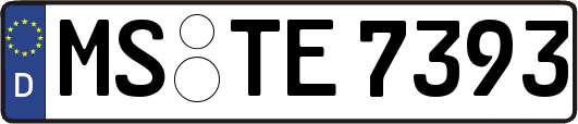 MS-TE7393