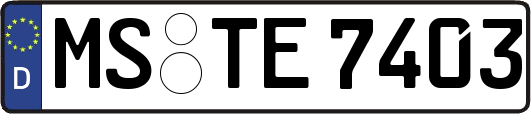 MS-TE7403