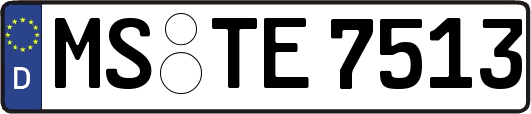 MS-TE7513