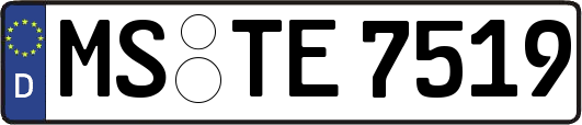 MS-TE7519