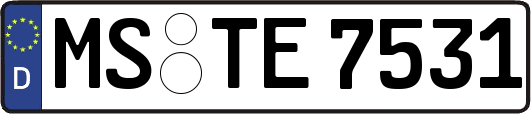 MS-TE7531