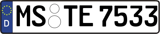 MS-TE7533