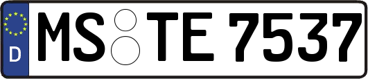MS-TE7537