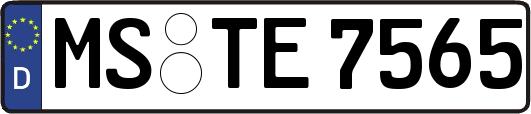 MS-TE7565