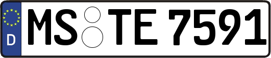 MS-TE7591