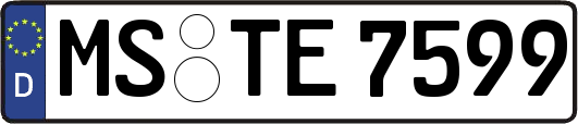 MS-TE7599
