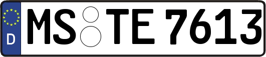 MS-TE7613