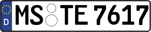 MS-TE7617