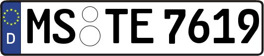 MS-TE7619