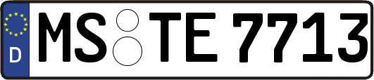 MS-TE7713