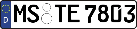 MS-TE7803