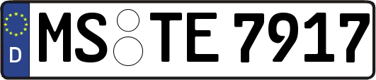 MS-TE7917