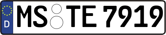 MS-TE7919