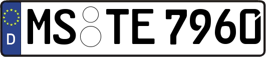 MS-TE7960