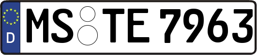 MS-TE7963