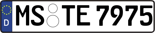 MS-TE7975