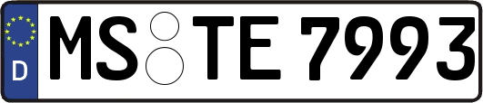 MS-TE7993