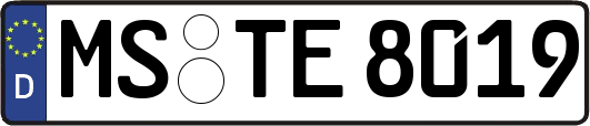 MS-TE8019