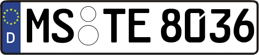 MS-TE8036