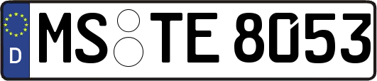 MS-TE8053