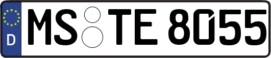 MS-TE8055