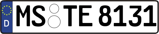 MS-TE8131