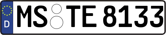 MS-TE8133