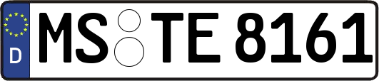 MS-TE8161