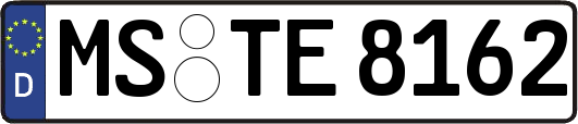 MS-TE8162