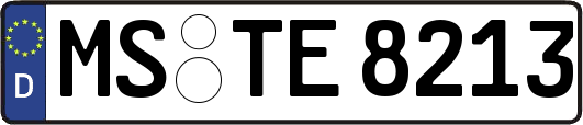 MS-TE8213