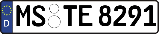 MS-TE8291