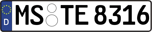 MS-TE8316