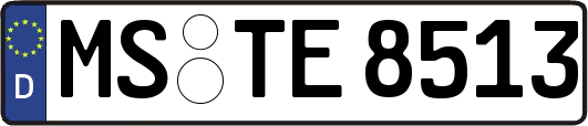 MS-TE8513