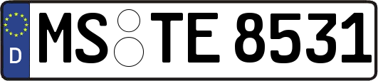 MS-TE8531