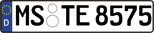 MS-TE8575