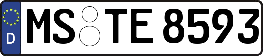 MS-TE8593