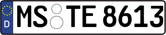 MS-TE8613