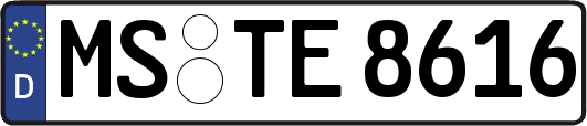 MS-TE8616