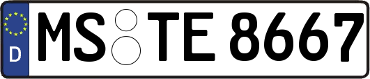 MS-TE8667