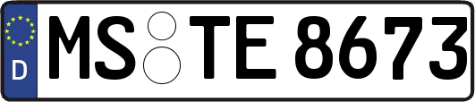 MS-TE8673