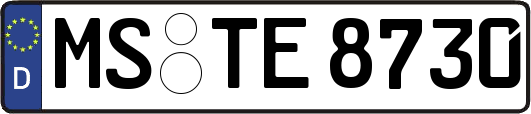 MS-TE8730