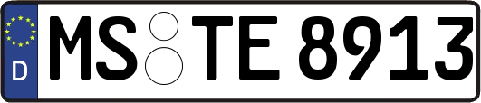 MS-TE8913