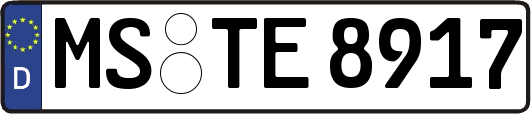 MS-TE8917
